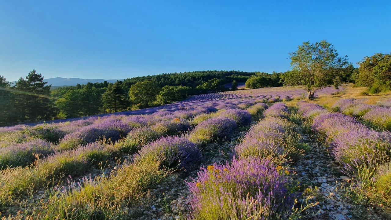 A Ventoux Yourte Monieux Экстерьер фото