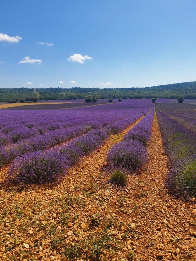 A Ventoux Yourte Monieux Экстерьер фото