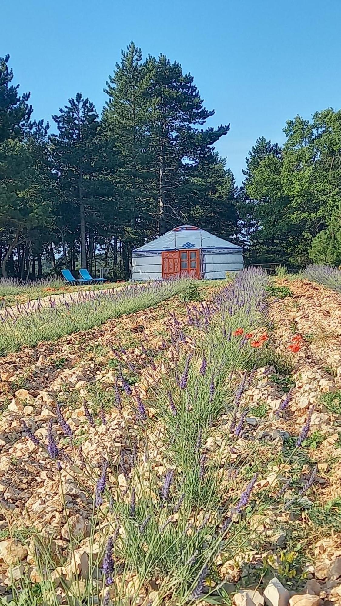 A Ventoux Yourte Monieux Экстерьер фото